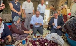 Gaziantep'te Kurutmalık Patlıcan Üretimi Krizde
