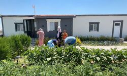 Bu Otelde Tatil Bedava: Konaklamak İçin Para Gerekmiyor
