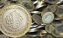 Cebinizdeki 1 TL Binlerce Lira Edebilir
