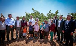 Nizipli Fıstıkçıların İthalat İsyanı