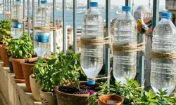 Gaziantep'in Kavurucu Sıcağından Bu Yöntem Kurtarıyor