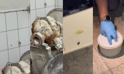 Gaziantep’te Fırından Böcek Çıktı: Savunması Pes Dedirtti