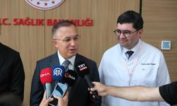 Vali Çeber, Meriç’in son durumunu açıkladı