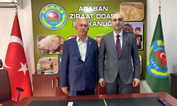 Araban Ovası'nın Tarım Potansiyeli Masada