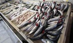 Kırmızı et 600 lirayı aştı, palamut 100 liraya satılıyor