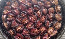 Dalda Kalan Ton Eriği Cevizli Tatlıya Dönüştü