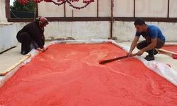 Gaziantep’te salça geleneği sofraları kışa hazırlıyor