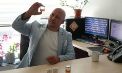 Mantardan doğal güneş kremi ürettiler