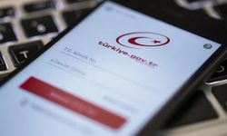 Plakaya yazılan ceza e-Devlet'ten nasıl sorgulanır?