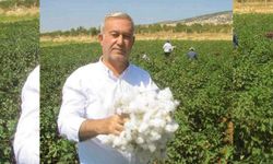 Araban'da pamuk alım fiyatları belli oldu