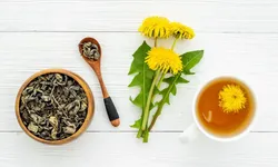 Karahindiba nedir, faydaları nelerdir?