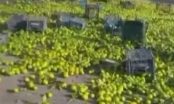 Nurdağı'nda Mandalina Yüklü Kamyon Devrildi