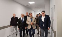 MHP Milletvekili Zuhal Karakoç kazada yaralandı