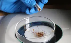 Türkiye, Sigara Tütünündeki Mikroplastikte İkinci Sırada