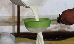 Çiğ süt üreticileri kasım ayında zam bekliyor