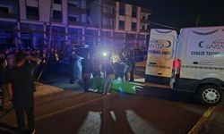 Yolun karşısına geçerken canından oldu