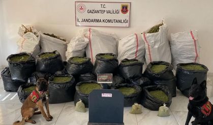 Gaziantep'te 235 kilo kubar esrar ele geçirildi!