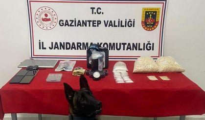 Gaziantep’te Çok Sayıda Uyuşturucu Madde Ele Geçirildi