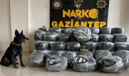 Gaziantep'te zehir tacirlerine büyük darbe!