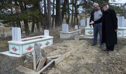 Kış Uykusuna Yatamayan Ayıların Yaptığı Hareketler Herkesi Şaşırttı!