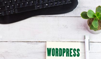 Wordpress Nedir? Wordpress Site Kurma Nasıl Yapılır?