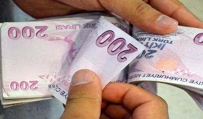 18-65 Yaşa Özel: Kamu Bankasından 100.000 TL Kredi Fırsatı!