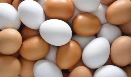 Yumurtanın bu özelliğini ilk defa duyacaksınız, sonra pişman olmayın: Sakın çöpe atmayın bakın ne faydası var