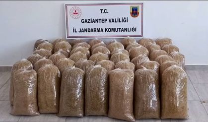 Gaziantep’te Jandarmadan Şok Operasyonlar 766 Gözaltı