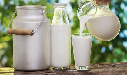 Süt Fiyatlarına Zam mı Geliyor?