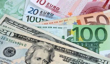 28 Ağustos 2024'te Dolar ve Euro ne kadar?