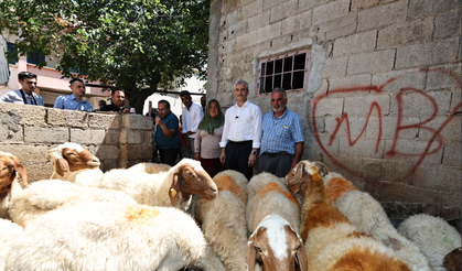 Belediyeden aldığı 16 koyunu 130’a çıkardı