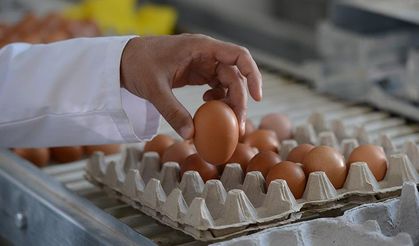 Yumurtalarda Yeni Dönem! Raf Ömrü Uzatıldı, Kurallar Baştan Yazıldı