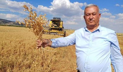 Araban Nohudu Yüz Güldürüyor!