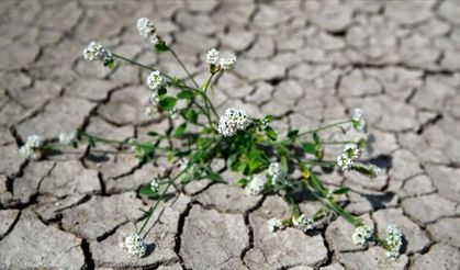 2026 Kışı İçin Ani İklim Uyarısı: Uzmanlar Tedirgin