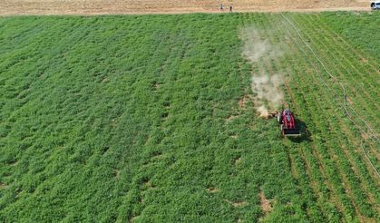 Gaziantep Tarımında Güvence Çağı