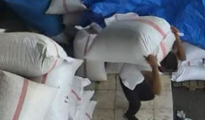 Gaziantep'te 535 Kilo Fıstık Hırsızlığı: Polis Kıskıvrak Yakaladı