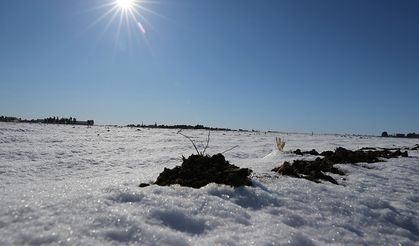 Gaziantepli Çiftçinin Yüzü Güldü