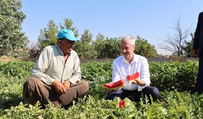 Şahinbey’de fide desteği hasada dönüştü