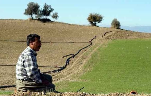 Gaziantep'te Çiftçiye Bir Darbe Daha
