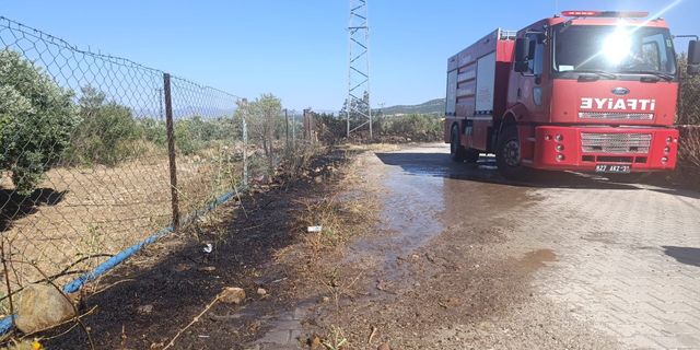 Alevler Zeytinliğe Sıçradı