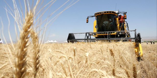Güneydoğu ihracatında hububatın payı büyüyor