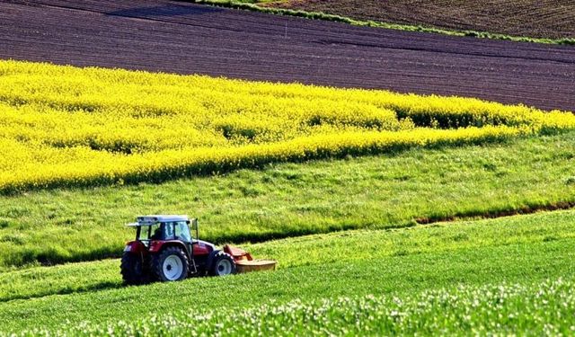 Tarlası ve arsası olanların son 14 günü kaldı