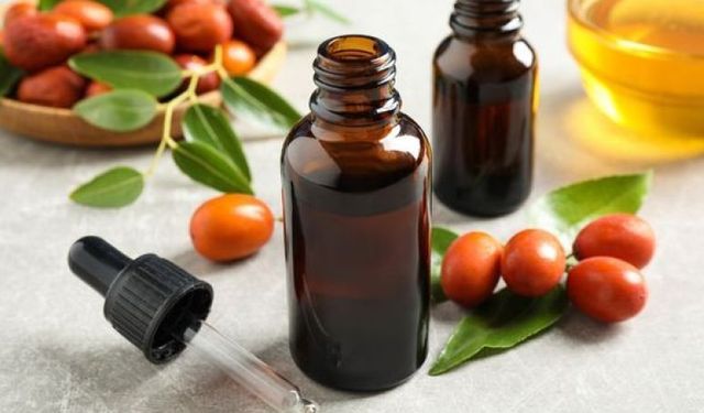 Jojoba Yağı Nedir? Jojoba Yağının Faydaları Nelerdir?