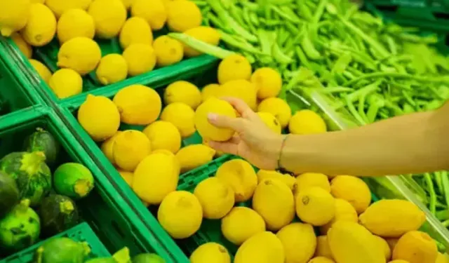 Saksıda Sulu Limon Yetiştirmenin Yolu Çok Kolaymış! Asla Çürümüyor, Öyle Bir Püf Noktası Var Ki…