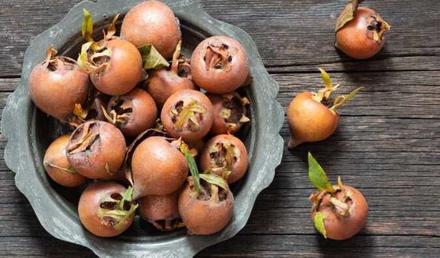 Çayı Bağırsakları Harekete Geçiriyor, Meyvesi Adeta C Vitamini Bombası! Anadolu'nun Şifa Kaynağı...