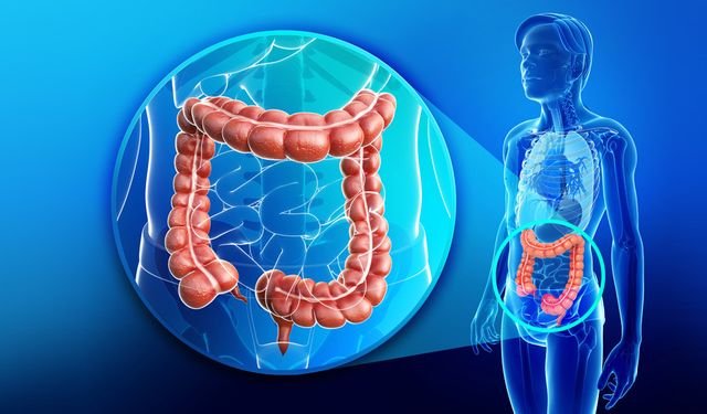 Bağırsak Sağlığı, Genel Sağlığın Anahtarı Oluyor