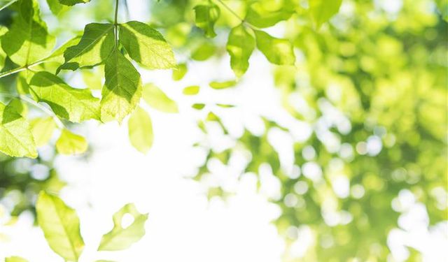 Mevsim Geçişlerinde Sağlık Uyarısı