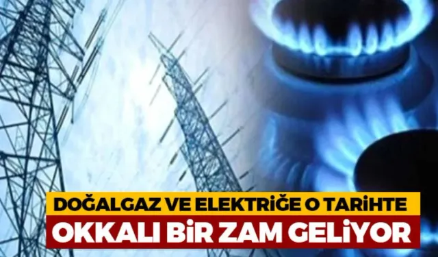 Mehmet Şimşek, elektrik ve doğalgazdaki devlet sübvansiyonunun kaldırılmasını istedi.