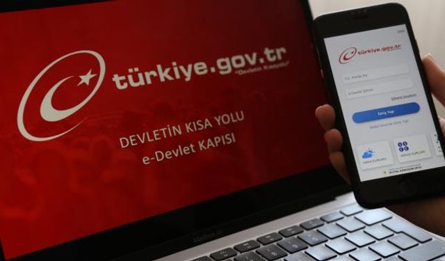 e-Devlet Kapısından Ne Tür Hizmetler Verilmektedir?