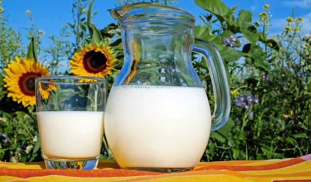 Çiğ süt içmek zararlı mı?